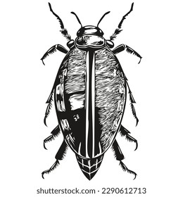 kids hand drawn nursery poster with beetle animal beetles
