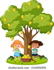 Niños cosechando mango de la ilustración de un árbol