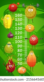 Kids height chart of exotic fruits on fitness, vector growth measuring meter ruler. Kids measure scale with cartoon fruits training in gym and fitness sport, lychee and dragonfruit pithaya with durian