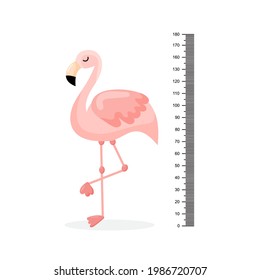 Kids height chart and flamingo. Exotic bird with pink feathers, yellow beak and long thin legs. Wall decor for children room. Flat vector