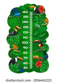 Kids height chart toucan birds and chameleons in jungle, tropical leaves growth measure. Vector wall sticker meter for children height measurement with cartoon funny characters in rainforest and scale