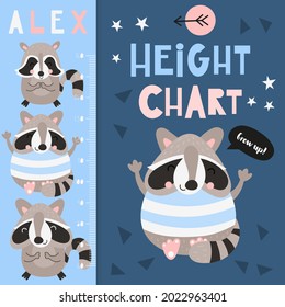 Kids height measure with cute little raccoon. Heights for school, kindergarten, nursery design. Vector illustration. Woodland animals.