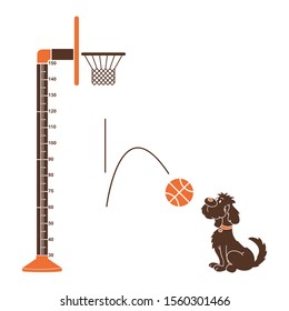 Kids height ruler with a dog, ball and basket ball for wall decals, wall stickers - Vector