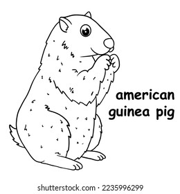 kids line illustration coloring american guinea pig. animal outline