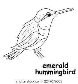 kids line illustration coloring animal. outline vector for children. black and white vector illustration for coloring book