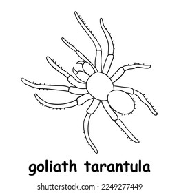 kids line illustration coloring animal. outline vector for children. black and white vector illustration for coloring book
