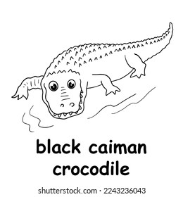 kids line illustration coloring black caiman crocodile. outline vector for children. cute cartoon characters