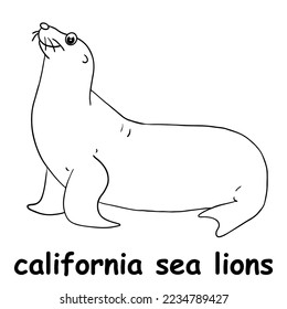 kids line illustration coloring california sea lions. animal outline