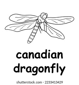 kids line illustration coloring canadian dragonfly. animal outline