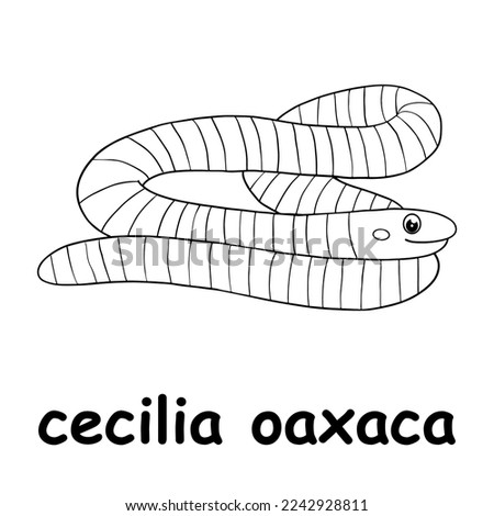 kids line illustration coloring cecilia oaxaca. outline vector for children. cute cartoon characters