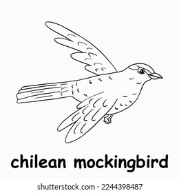 kids line illustration coloring chilean mockingbird. outline vector for children. cute cartoon characters