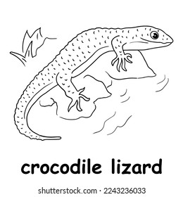 kids line illustration coloring crocodile lizard. outline vector for children. cute cartoon characters