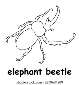 kids line illustration coloring elephant beetle. animal are just lines