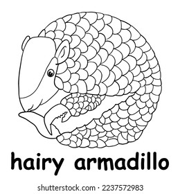 kids line illustration coloring hairy armadillo. animal are just lines