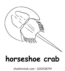 kids line illustration coloring horseshoe crab. outline vector for children. cute cartoon characters