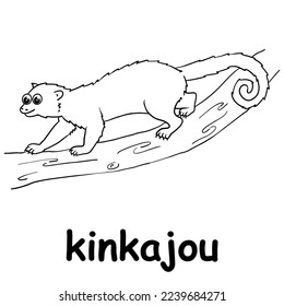 Kinder Linie Illustration färben kinkajou. Tiere sind nur Linien