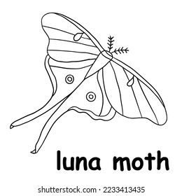 kids line illustration coloring luna moth. animal outline