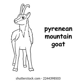 kids line illustration coloring pyrenean mountain goat. outline vector for children. cute cartoon characters