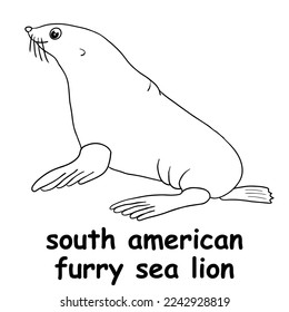 kids line illustration coloring south american furry sea lion. outline vector for children. cute cartoon characters