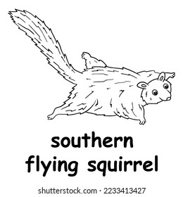 kids line illustration coloring southern flying squirrel. animal outline