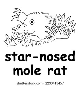 kids line illustration coloring star nosed mole rat. animal outline