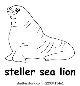 kids line illustration coloring steller sea lion. animal outline