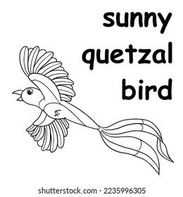 kids line illustration coloring sunny quetzal bird. animal outline