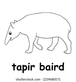 kids line illustration coloring tapir baird. animal are just lines