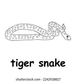 kids line illustration coloring tiger snake. outline vector for children. cute cartoon characters