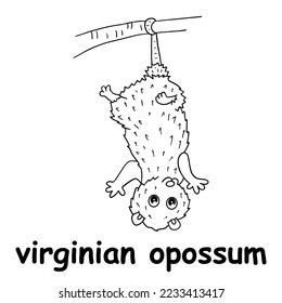 kids line illustration coloring virginian opossum. animal outline