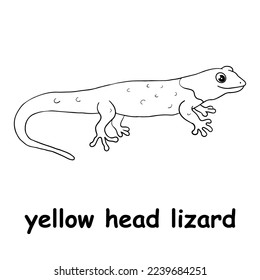 kids line illustration coloring yellow head lizard. animal are just lines