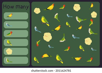 Kids mathematical mini game - count how many parrots and tropical florals - australian king, budgies, neophema, hibiscus. Educational games for children. Cartoon design template on colorful backdrop.