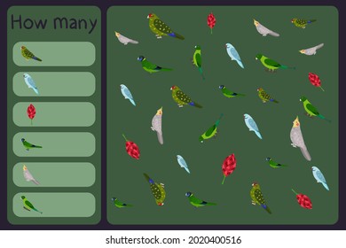 Kids mathematical mini game - count how many parrots and tropical florals - kakariki, rose ringed, australian ringneck, cockatiel, racket tail. Educational games for children. Cartoon design template