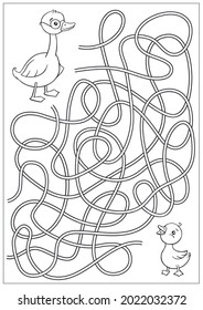 Kids maze game with cute mom duck and duckling. Children worksheet and coloring. Vector illustration and activity page. 