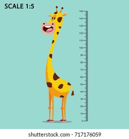 Kids meter wall with a cute smiling cartoon giraffe and measuring ruler. Vector illustration of an animal isolated on a blue background.