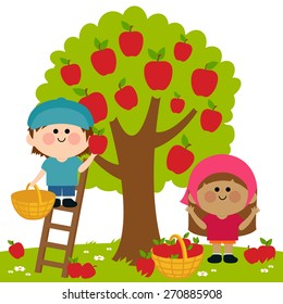 Kids picking apples under an apple tree. Vector illustration