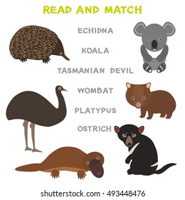 Kids words learning game worksheet read and match. Funny animals ostrich echidna platypus koala wombat tasmanian devil Educational Game for Preschool Children Picture puzzle. Vector illustration