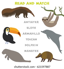 Kids words learning game worksheet read and match. Funny animals Armadillo Anteater Sloth Toucan Dolphin Manatee Educational Game for Preschool Children Picture puzzle. Vector illustration