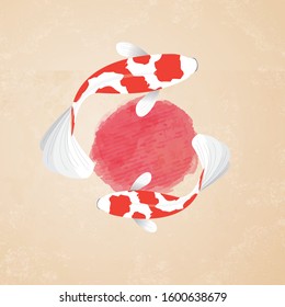 Kikusui fish koi. Fish Koi Illustration. Concept for Fish Koi. Flat style vector illustration isolated on colour background, suitable for wallpaper, banner, book illustration