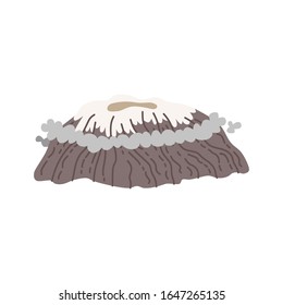 Kilimanjaro mountain isolated on white background. Vector illustration. Environment elements in flat style