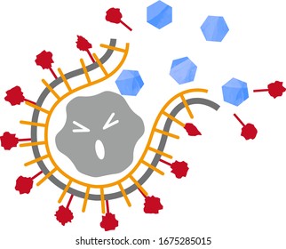 kill the envelope virus with alcohol