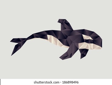 killer whale