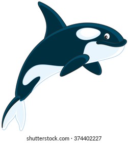 Killer whale