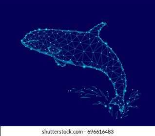 Killer whale 3d polygonal triangle model. Underwater sea wild danger monster. Glowing blue connected dots wire mesh logo water splash vector illustration