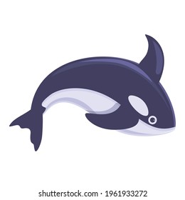 Killer whale animal icon. Cartoon of Killer whale animal vector icon for web design isolated on white background