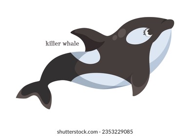 Killer Whale as Animal of North Vector Illustration