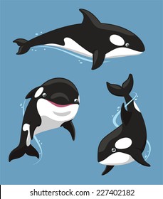 Killer Whale Aquatic Mammal Carnivore set, vector illustration cartoon.