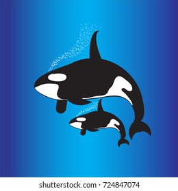 Killer whale background