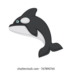 Killer whale with black and white smooth skin