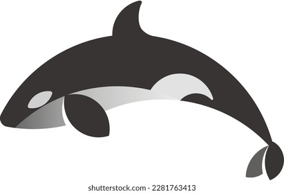 vector blanco y negro de la ballena asesina